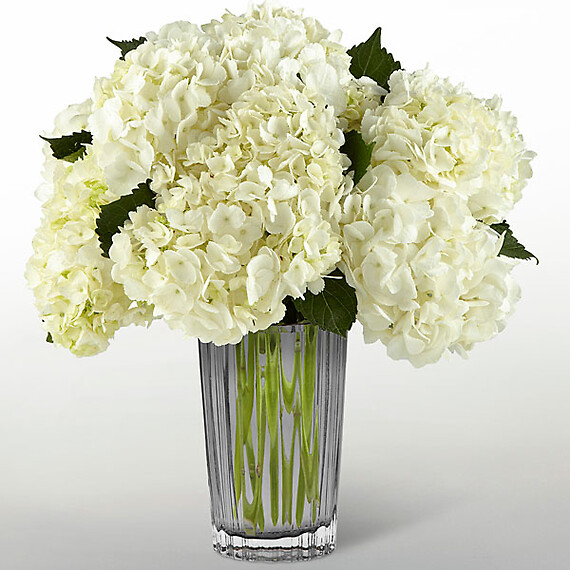 The Ivory Hydrangea Bouquet by Aversa&#039;s